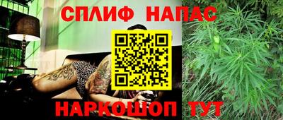 тгк Славянск-на-Кубани