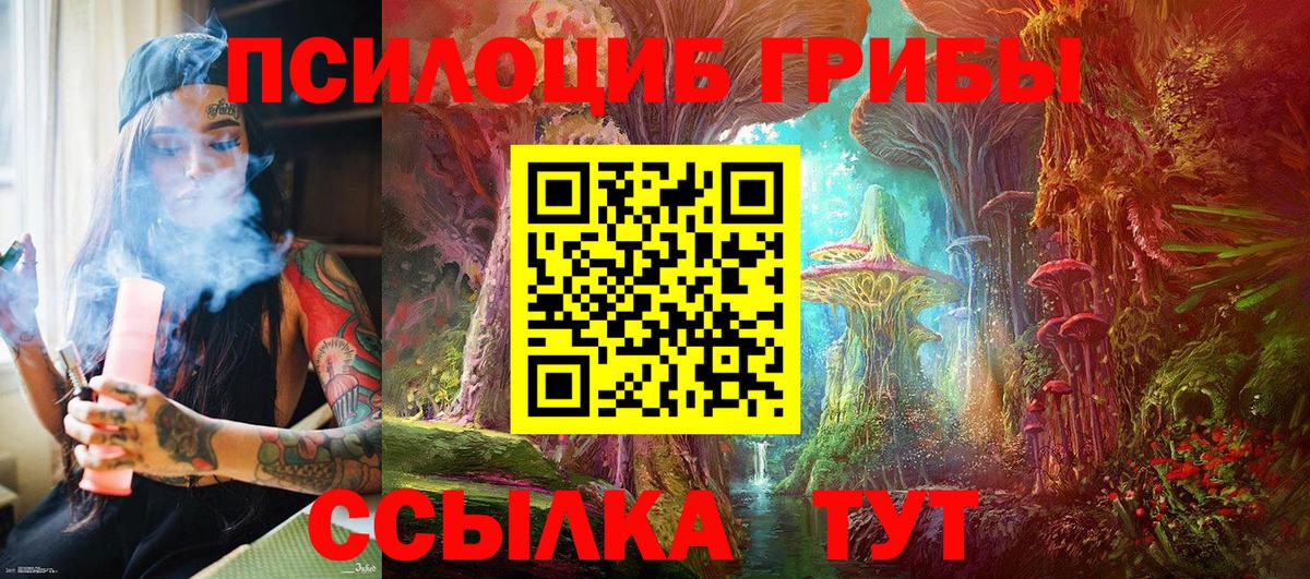Псилоцибиновые грибы Psilocybe  Псилоцибиновые грибы прущие грибы  Ялуторовск  Вход с VPN 